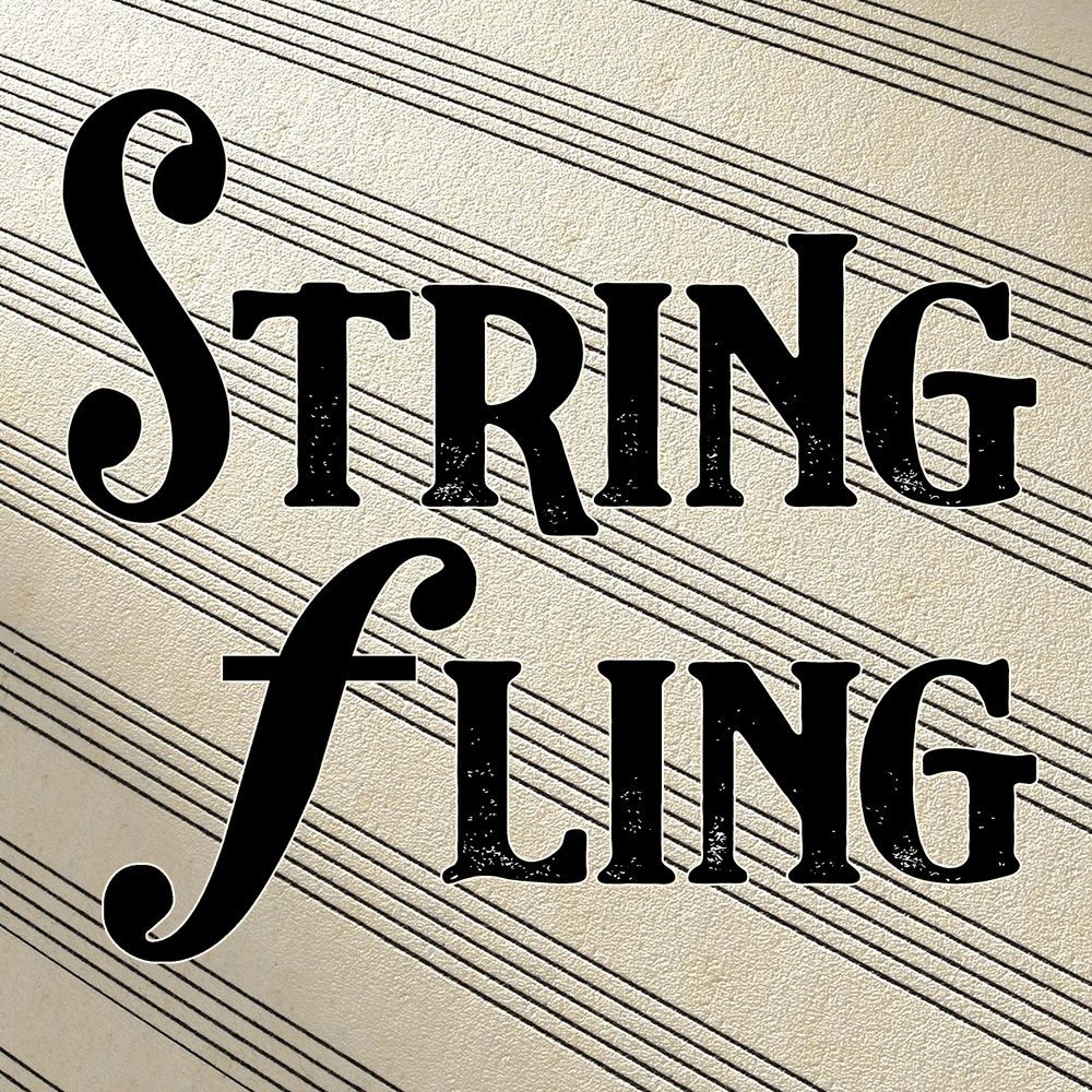 String Fling Cover Band Minneapolis MN Wedding Band Twin Cities Brandon Daly String Quartet