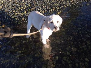 Kit first ocean experience