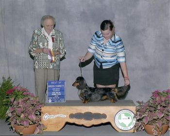 Baxter winning a huge Best of Breed in Texas with Shea. He finished his grand championship with this win. Summer 2012