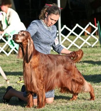 Thanks to Melissa for her beautiful presentation of Bagger. It truly was a sight to see the two of them together!