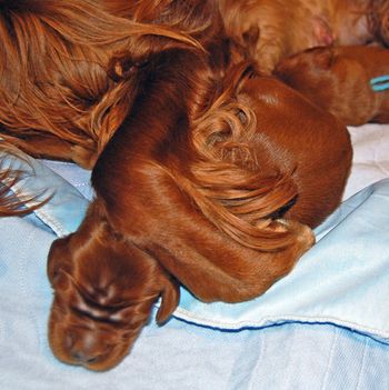 Isn't this the cutest - Blaise's arm wrapped around the green boy. Awww...