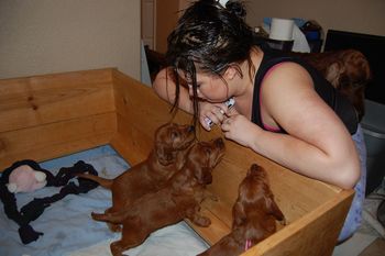 This is my daughter checking in on Katie's puppies. Her room is right next to theirs so she is in there a lot!! :)