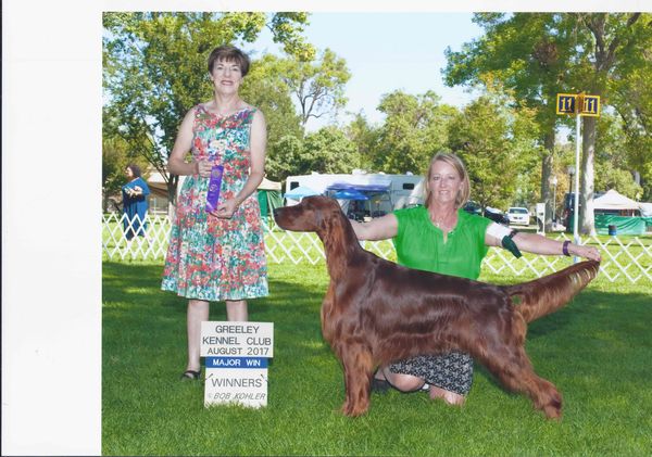 "Rake"
CH. Galewinns Ramblin' Man OA, NAJ, BN, MH
(CH. Galewinns Rio Grande x Galewinns In the Money)