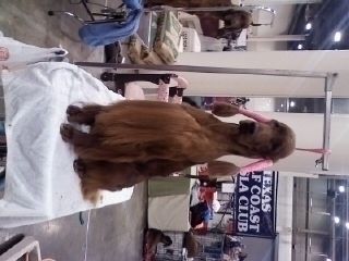 Hi Mom!! Don't I look pretty in pink?!! (Melissa sent me this photo from the Houston Specialty - I just had to laugh!).