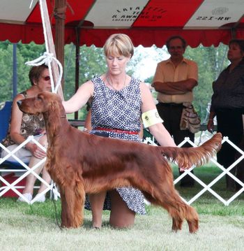 PJ being shown in Milwaukee, Wisconsin at the specialties there. She was BOS in sweeps and took 2 major reserves. Not bad considering she was the youngest of 16 bitches entered!