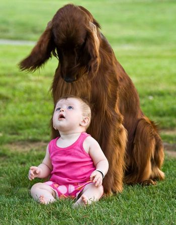 Bravo with "his baby" Tennley. He loves Tennley and often helps her by cleaning off her face after she eats!!