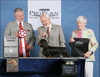 Baron's sire CH. Old Hanover's Mr. Lincoln ML won Best of Opposite at the Dachshund Club of America national!!! We are so very proud of him!! Baron says "Go Dad"!! Congrats to Karyn & Jeff Dione, Lincoln's owners! May 2011