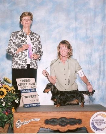 "Dally" (Click on Dally's name to go to her page) CH. High Plains Giddy Up MLD (High Plains Boris Badenov x Ch. Packers Brown Betty)