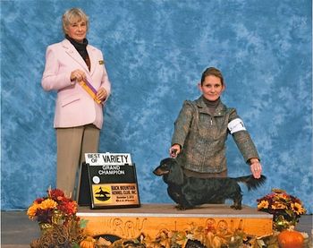"Sonny" GCH. Galewinns Kaycees Sundance Kid ML Owner: Lena Tamboer New Jersey Sonny gets his Grand Championship.