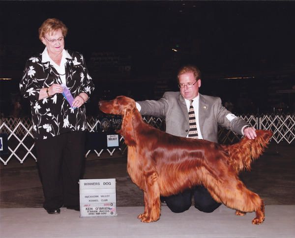 "Conor"
GCH. CH. Rosette's Come Fly With Me CD BN RN NA OAJ NF
(CH. Courtwood Going My Way x CH. Rosette English Tea Tyme