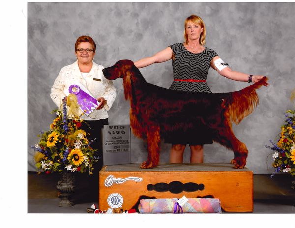 "Brewin"
CH. Galewinns Keliaire Brewinupastorm
(CH. Roclyn's Killian's Red x CH. Keliaire Galewinns Grazie of Mariah)
