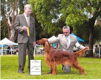 "Penny" (pink girl) Huntersglen Galewinns Bolero Owner: Suzanne Gerhls California Penny winning a nice breed again. Not bad for such a young girl. May 2011