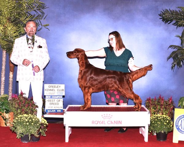 "Ridge" CH. Galewinns Mountain High(GCH. CH. Galewinns Ramblin' Man MHA x CH. Galewinns Dripping In Finesse)