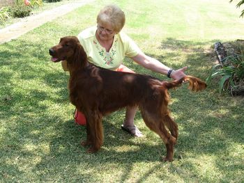 "Tex" pictured at 10 months old.
Galewinns Should A Been A Cowboy
Owner: Beth Shirley
Texas
Aug 2013