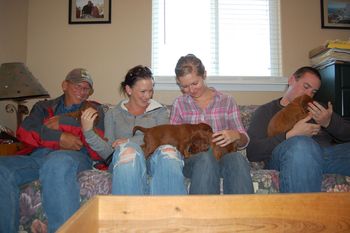 The Hughes family came to visit the puppies today. They will be taking a girl. It was great to meet them and the puppies LOVED all of the attention!!