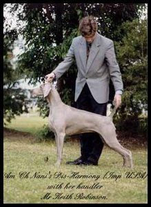 Am & Aust Ch Nani's Dis-Harmony Imp USA Dam of Champions in Australia & America s. Am Ch Baht N Greywind Playn The Game BROM d. Am Ch Nani's Perfect Cadence BROM