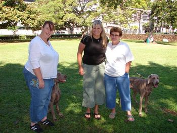 Val and I met up with Janine Ferrari and 'Sydney' Greydove Anchors Aweigh, we got such a surprise when we ran into her at the Ralph Lauren outlet shop so she brought Sydney along to see us on the weekend.