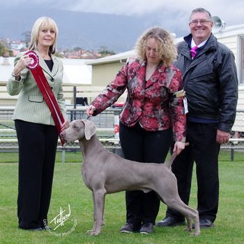 Robbie winning Intermediate In Show/Best In Group Southern Classic. Judges Mrs L Buckley (ACT) & Mr L Bradney (NSW)