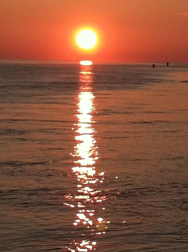 "The waves roll in, the waves roll out,
the sun goes up and down
and like a dream, I'm on this Earth
as she spins around"
From "Alive" by Dawna