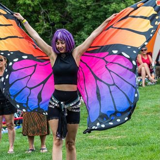 Monarch the Butterfly