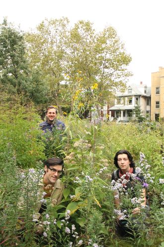 In the garden
