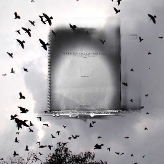Murmurations von Flötistin Johanna Schwarzl spielt das Stück "Cerchio Tagliato dei Suoni“ von Salvatore Sciarrino. Die Idee stammt von dem Naturphänomen von Schwarmformationen von Staren