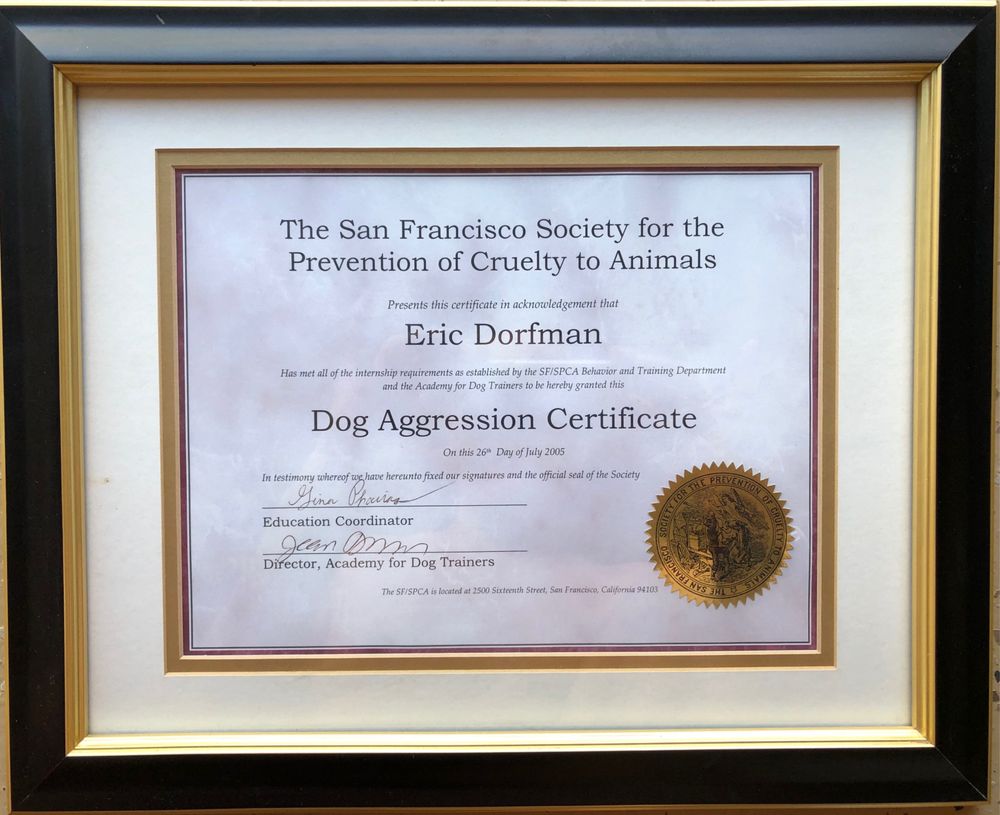 One Year Internship San Francisco SPCA Dog Aggression Certification