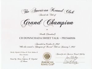 AKC Grand Champion Donnchada Sweet Talk - 