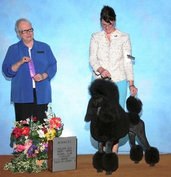 Hattiesburg, MS - Cali won two 5 point majors there with Sarah Perchick handling her. Pictured with Mrs Kathleen Gross (judge)