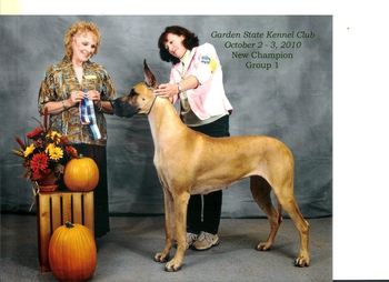Jenny's UKC Championship winning 3 Group I placements in one weekend. Jenny was ranked the #3 Great Dane in the Country in the UKC stats for 2010