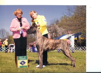 Bree's first point. Winner's and Best of Winner's Thank You Judge Patricia Mowbray Morgan Wilmington Kennel Club April 24, 2009