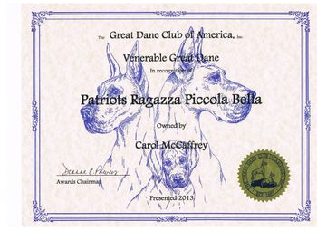 Bella's Venerable Great Dane Certificate from the Great Dane Club of America for reaching the age of ten.