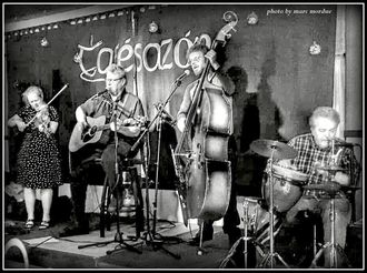 The Human Wilderness String Band Photo-Marc Mordue