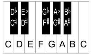 Piano Keys with Notes