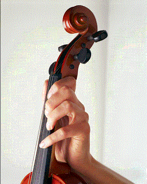 Violin Head