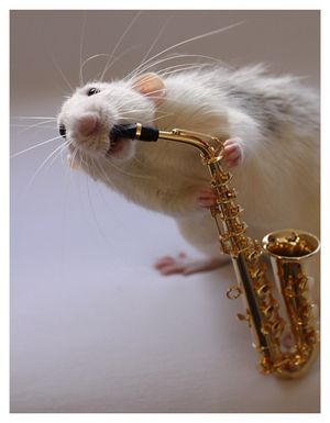 Saxophone