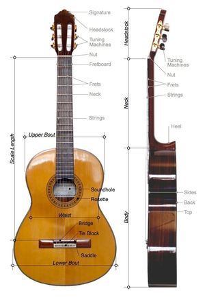 Classical Guitar Parts