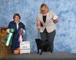 Sept. 2009 - "Denali" - Can Ch. SnugglePugs Adventure to Kalmadray (Ch. Woowoo Your Cheatin' Heart x SnugglePugs Majolica)