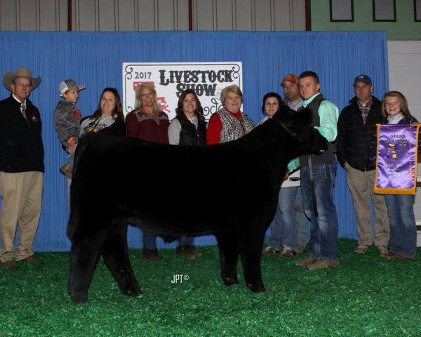 Grand Champion Prospect - Louisiana State Fair 2017
Grand Champion Southern University State Show 2018