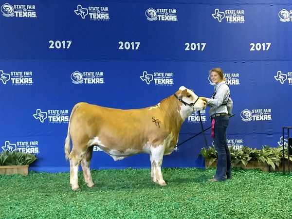 2ns Place European. State Fair of Texas 2017