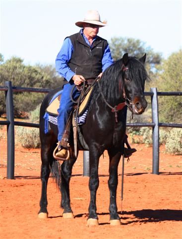 Koolaroo Klasique Ebony as a 3yo, with Ian Leighton