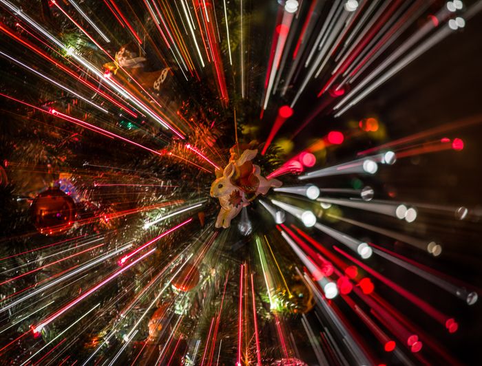 December 2021 - Greg Reely -Festive Lights