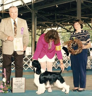 "BRADFORD" AM CAN CH. JOCKEYHILL CROSSROAD DELANEY (Ch. Escapades Esspecial Effects and Lordillea Crossroad Milady) Bradford is co-owned and co-bred with Erline Jesseman and co-owned with my sister, Patti Csillag. Bradford is from our furniture litter and named after Bradford Furniture and the town he was born in ( Bradford Vt. in a car). Bradford finished at 18 months with 4 majors. He was sparingly specialed by his co-owner.