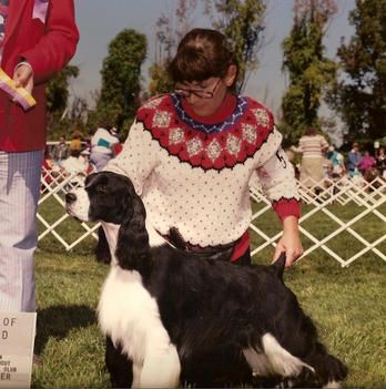 'STUFFY' CH. CROSSROAD LORDILLEA BIGTIME (Ch. Eldemar's Wil-Orion's Epic and Lordillea's Graphic) Stuffy was co-owned with Sue Barrett and co-bred with Ruth Ferm. Stuffy was from my second litter named after cookies. He was Double Stuff. Stuffy finished his championship in one weekend. He was sparingly specialed by his co-owner.