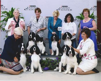 Titus and Blizzard and their 7 champions, Whistle, Fergie, Adele, Tracer, Iggie and Bruno. Not there Bette