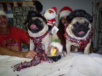 WOW, another great 2007 Christmas shot. Gina, Son Jason, Shackie and Shang. Merry Christmas to all!!