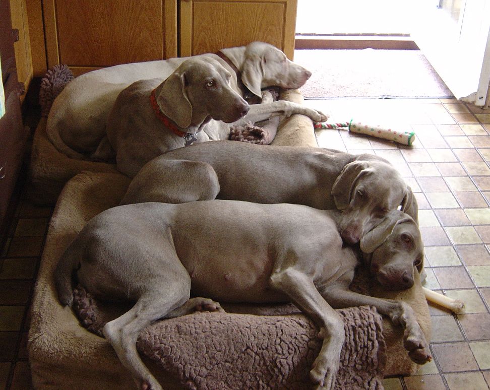 With my mob and her Mum, staying for her holiday.