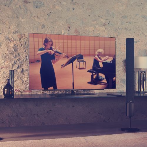 Virtual Concerts by Vetta Chamber Music