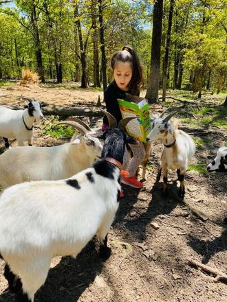Annalee treating the herd