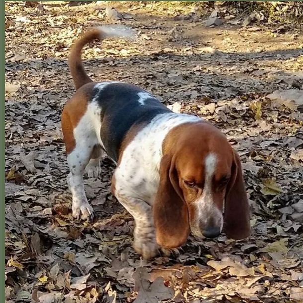 Charlie